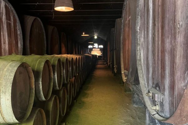 PHOTO-2024-06-11-11-38-05